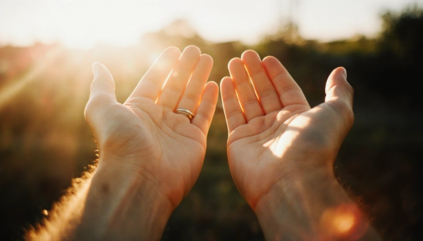 Deux mains se tendant vers un lever de soleil, symbolisant un web plus juste et éthique.